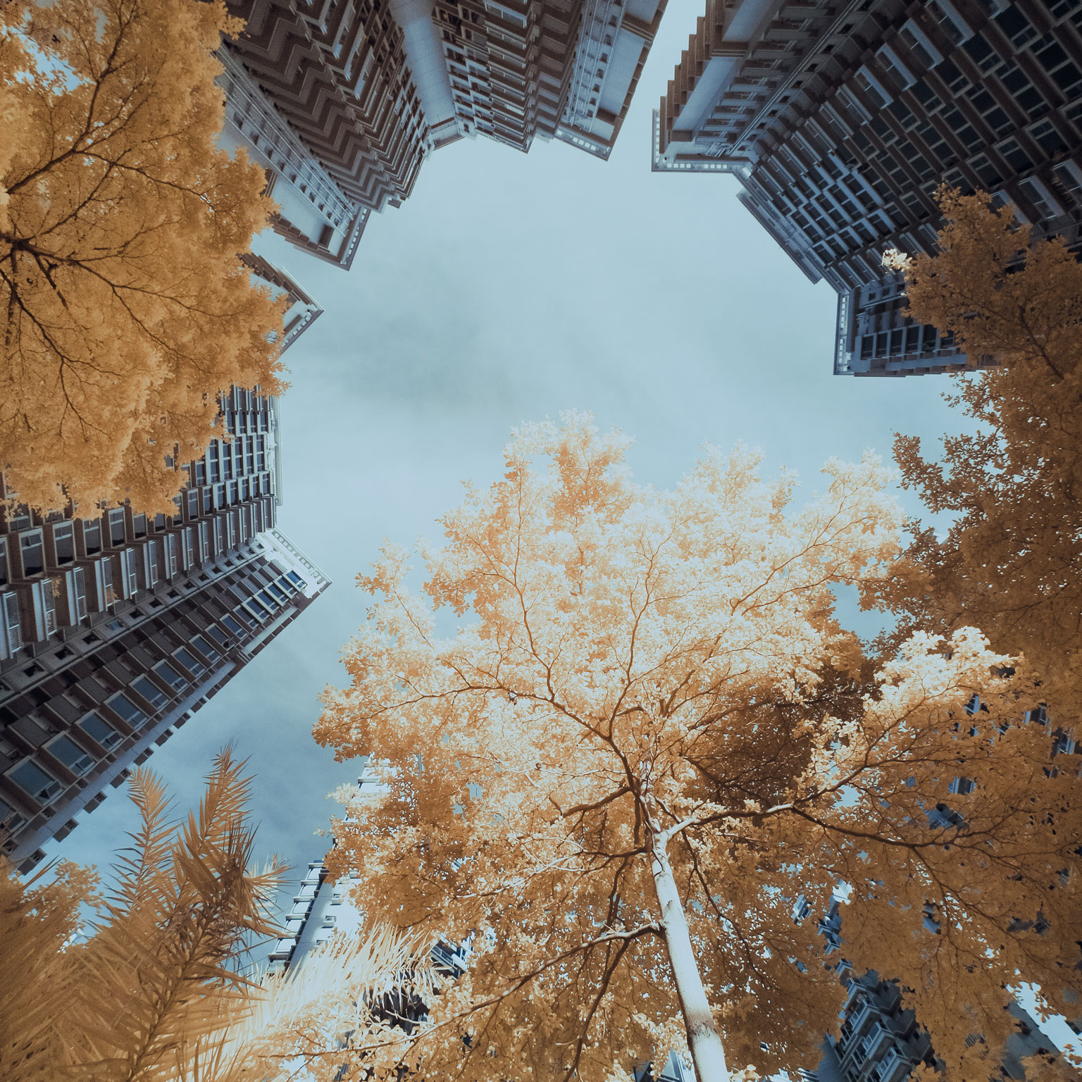 Catalyzing the growth of the impact economy