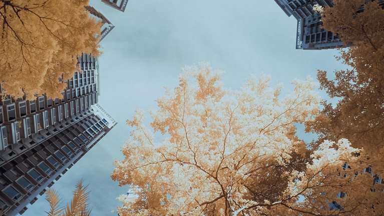 Catalyzing the growth of the impact economy