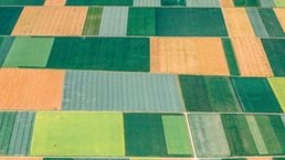 How leading institutions are changing the rules on portfolio construction