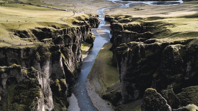 Institutional investing in the time of COVID-19