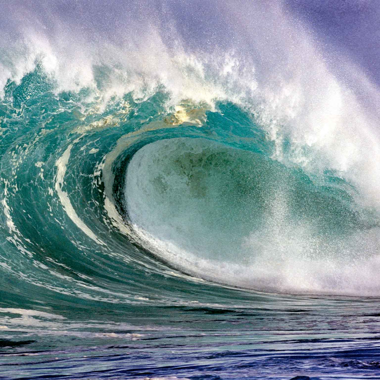 Private equity rolls on: How investors and managers are responding to scale