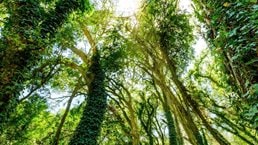 Sustaining_sustainability_1536x1536_200 offset_Standard