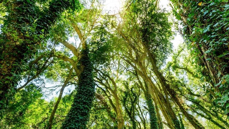 Sustaining_sustainability_1536x1536_200 offset_Standard