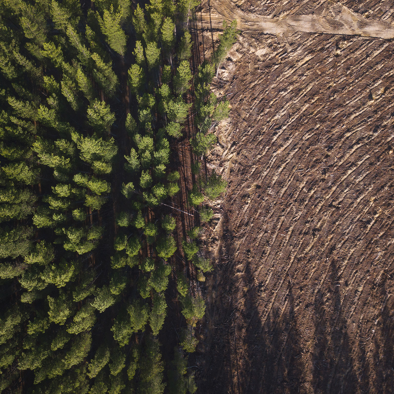 Development Partners by McKinsey - Investing in sustainability