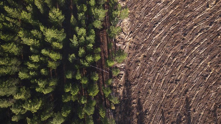 Development Partners by McKinsey - Investing in sustainability