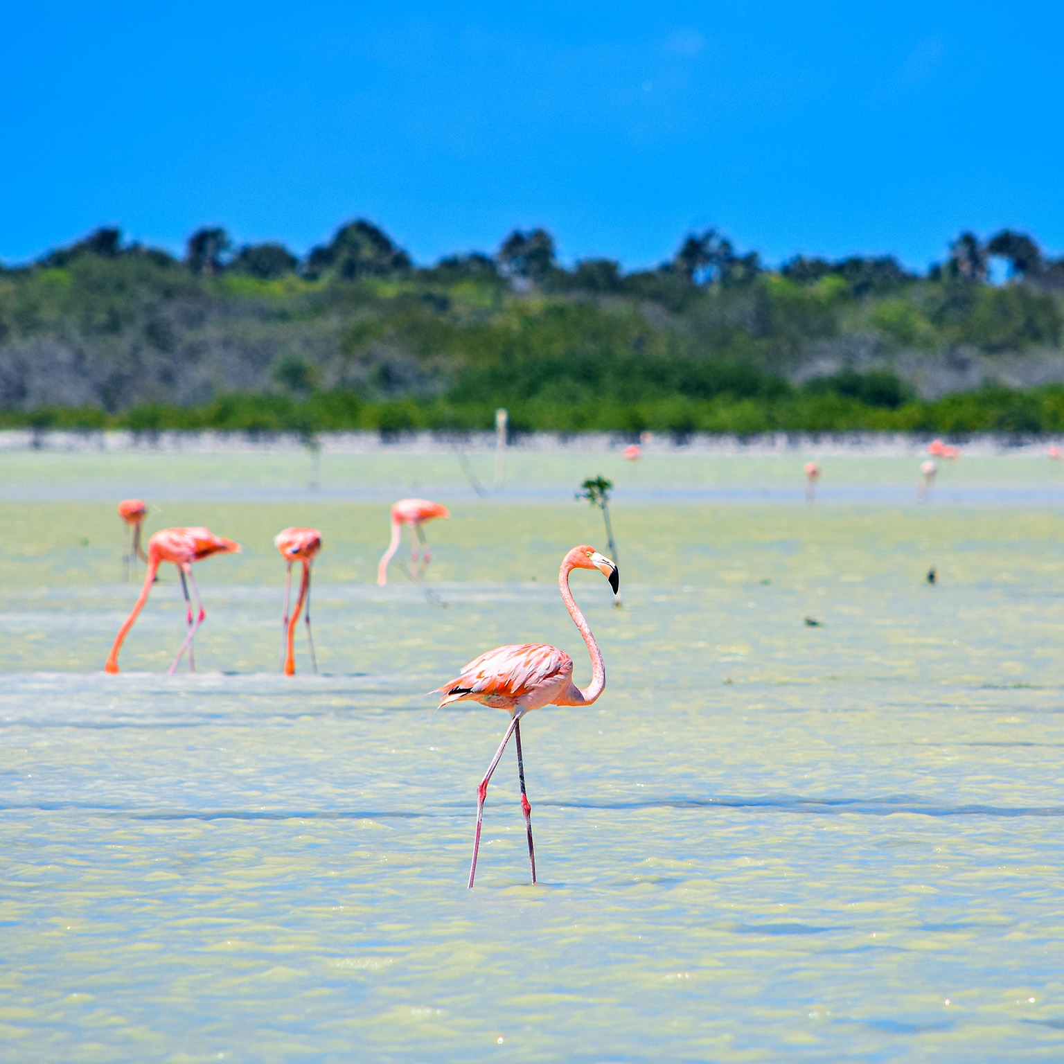 An image linking to the web page “Uncovering economic potential through environmental stewardship”