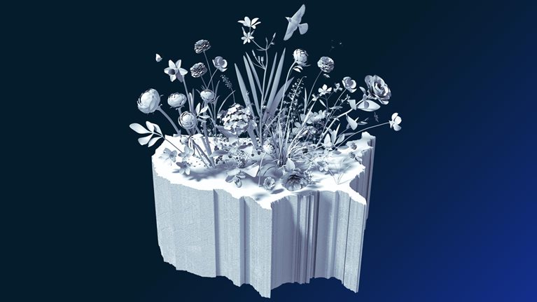 America 2021: Rebuilding lives and livelihoods after COVID-19