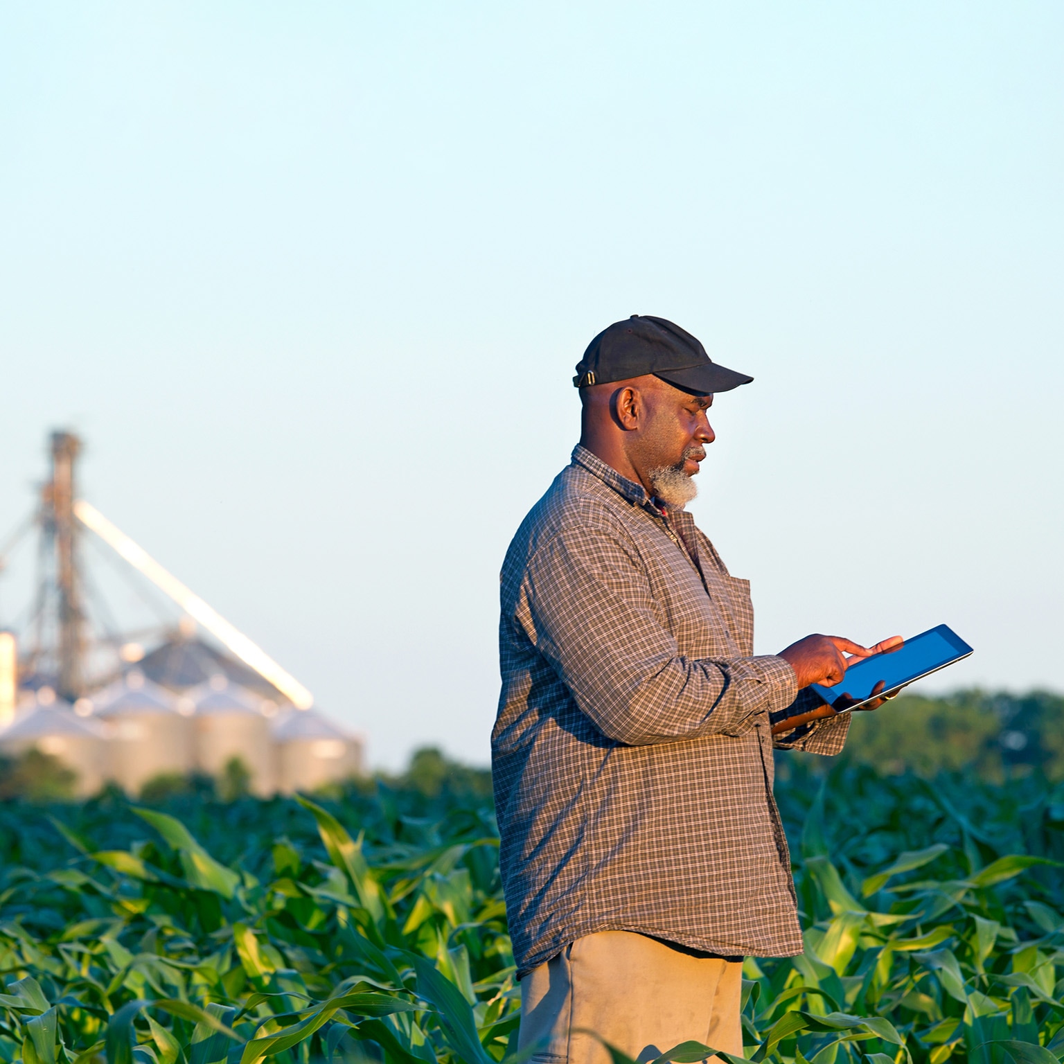 Black farmer with digital tablet in crop field
