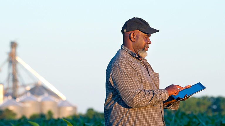 Black farmer with digital tablet in crop field