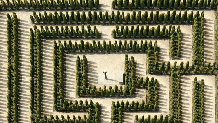 How the public sector fits in the productivity puzzle