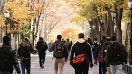 How to transform higher-education institutions for the long term