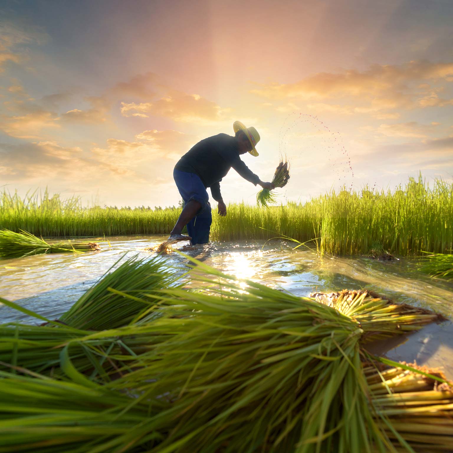 International Development | Public Sector | McKinsey & Company