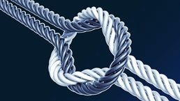 Reimagining resilience for the next normal: Ten tasks for governments