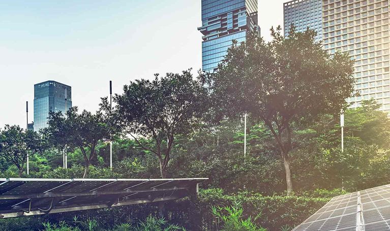 Real Estate Climate Action Platform