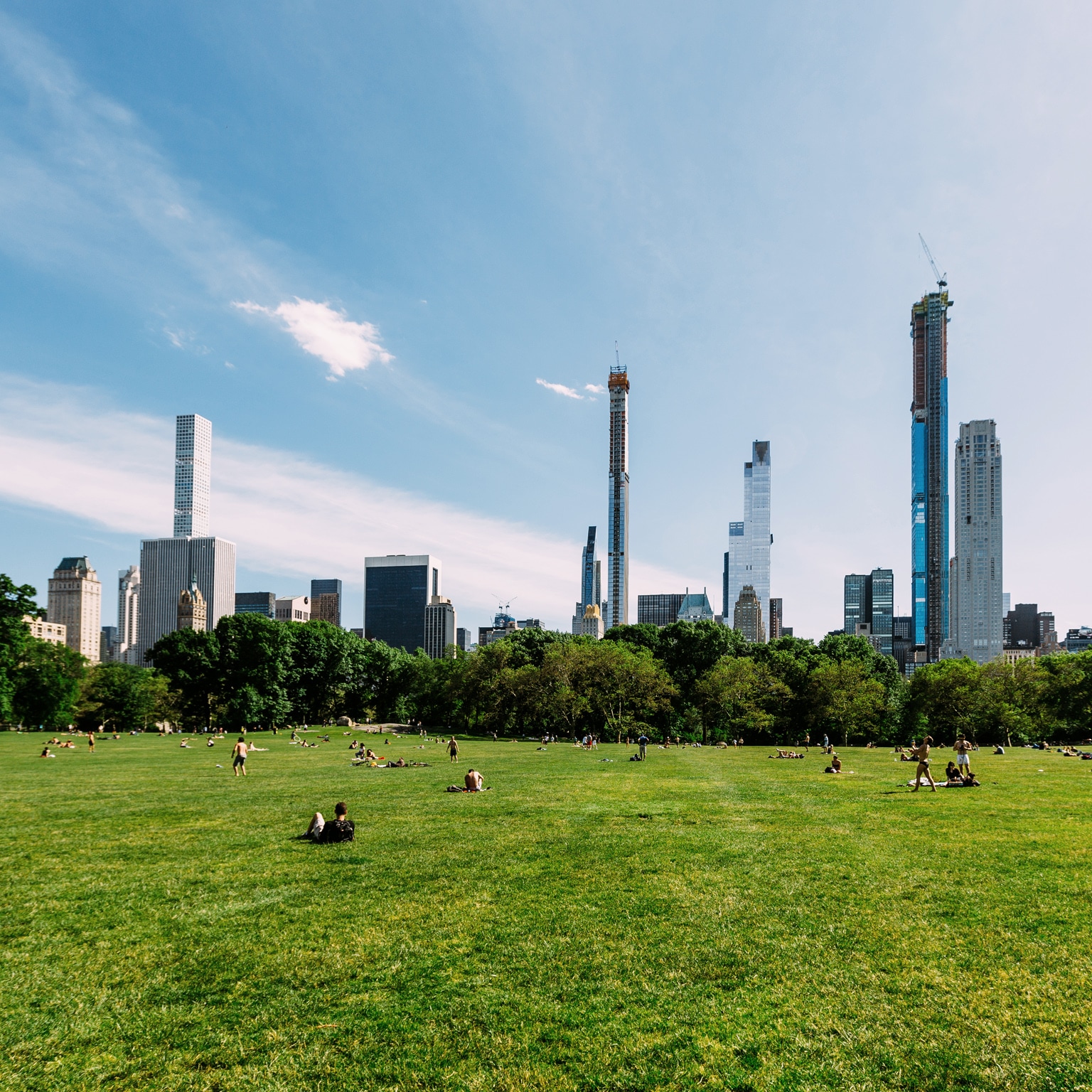 Green lawn at Central Park and Manhattan skyline
