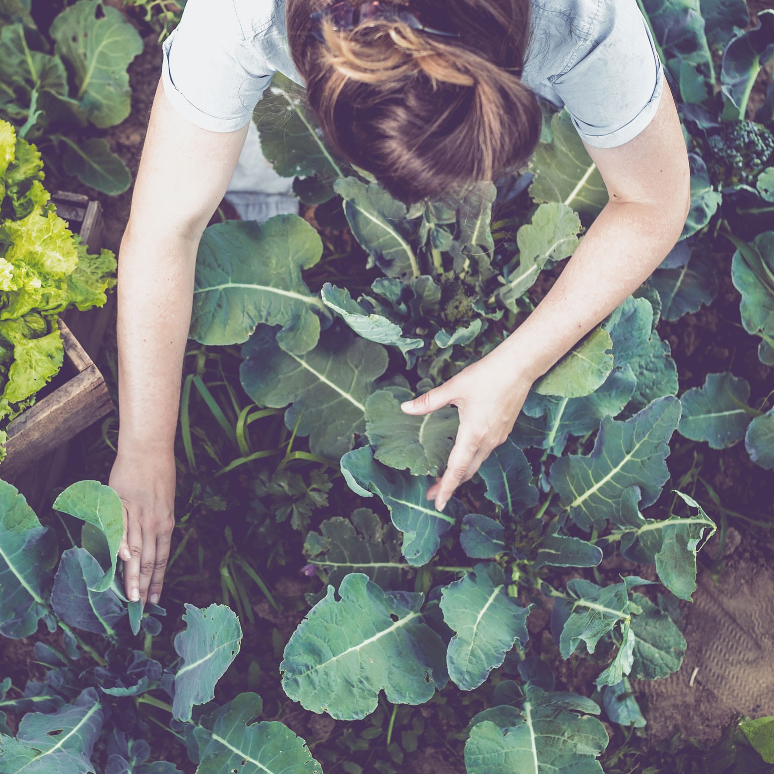 The path forward for sustainability in European grocery retail