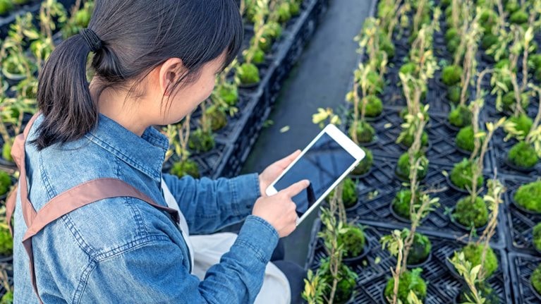A female farmer is checking the seedlings with a tablet computer in the greenhouse warehouse - stock photo