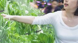 What Chinese consumers want from fresh-food retailers