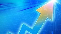 Grow fast or die slow: The role of profitability in sustainable growth