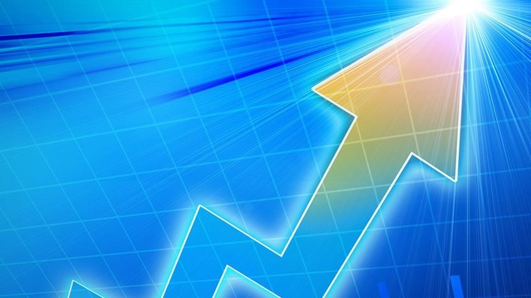 Grow fast or die slow: The role of profitability in sustainable growth