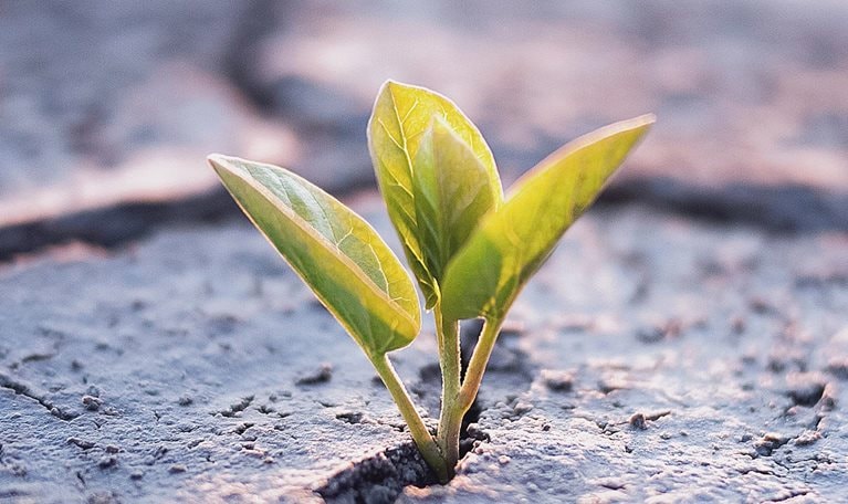 Resilience in TMT: Winning in downturns