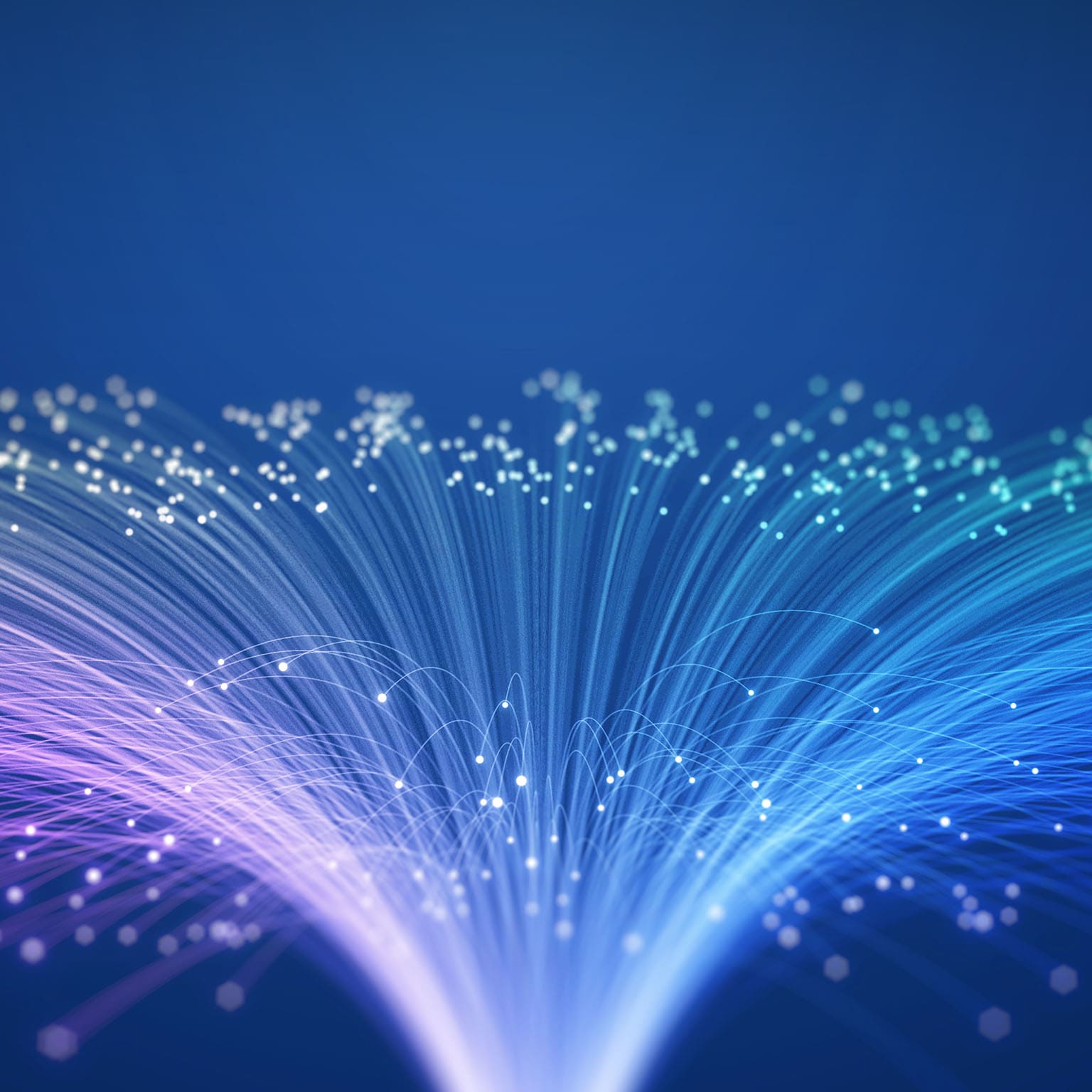 The image displays fiber optic cables, which are thin strands of glass or plastic used to transmit data as light signals.