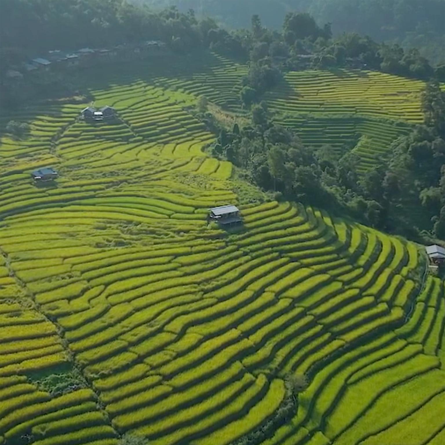 Philippines Growth Dialogues