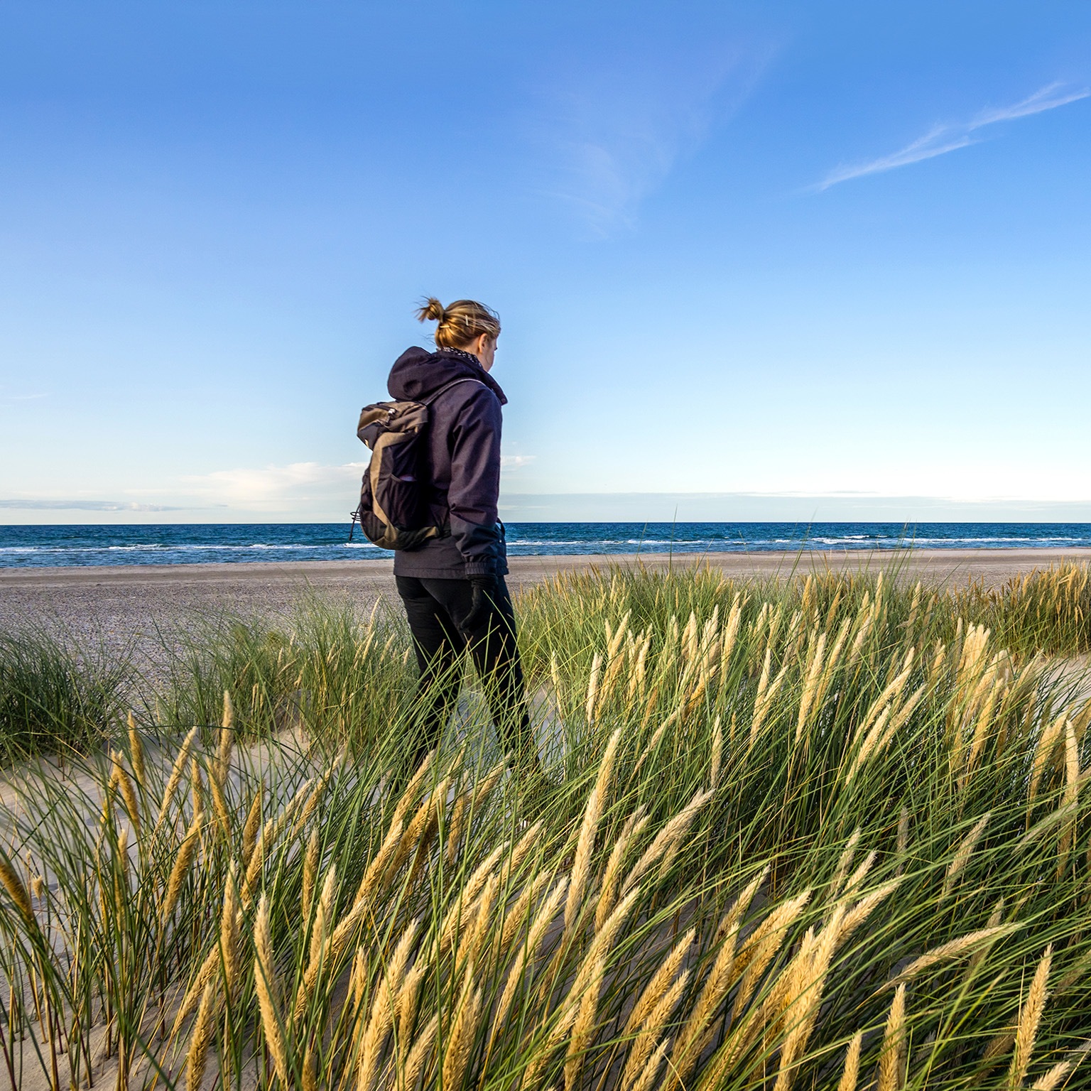 Year Det økonomiske potentiale af GenAI i Danmark