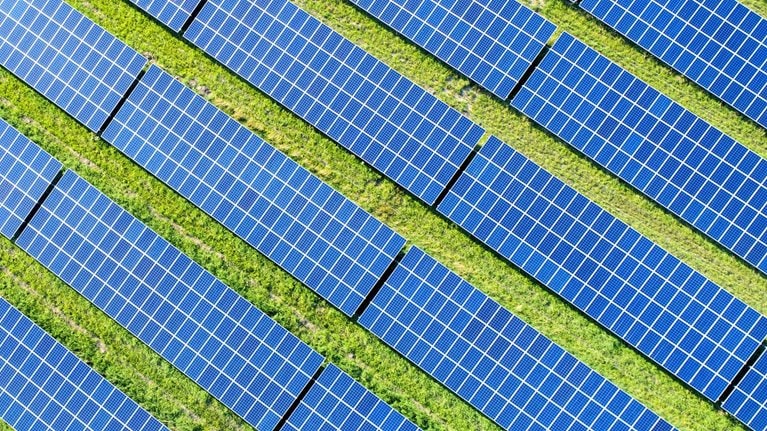 Rows of solar panels with grass growing in between them.