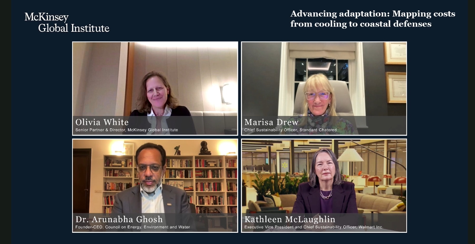 Olivia White, Marisa Drew,  Arunabha Ghosh, Kathleen McLaughlin