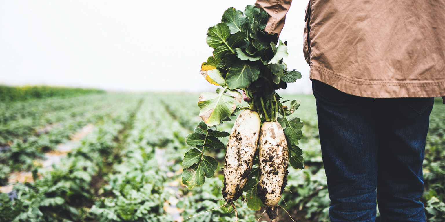 Sustainability and Health