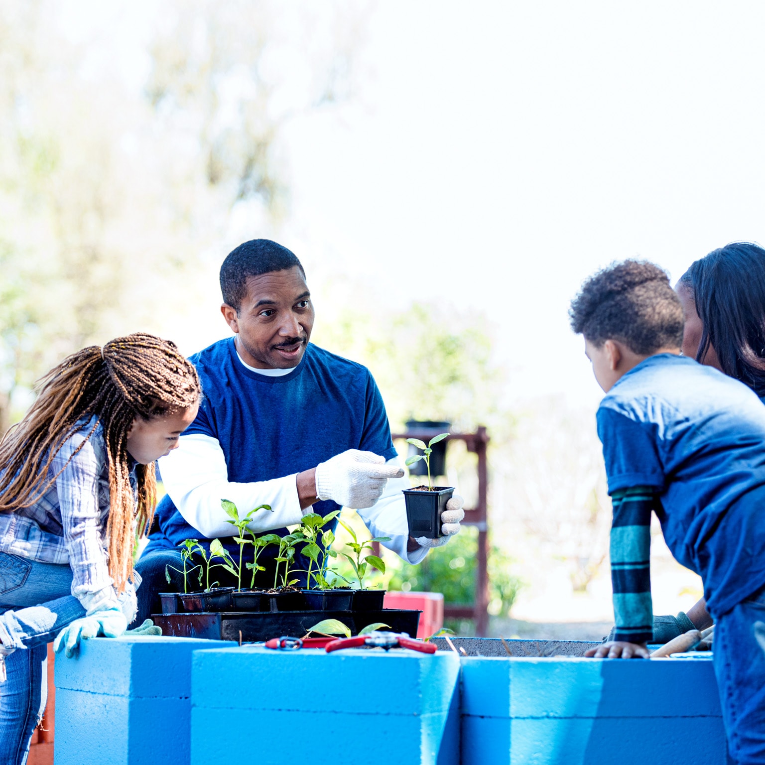 A black male volunteer teaches three black elementary age children how to plant seedlings in a community garden.