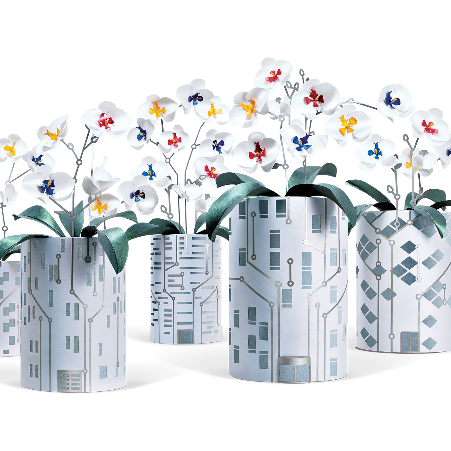 Colorful flowers in vases