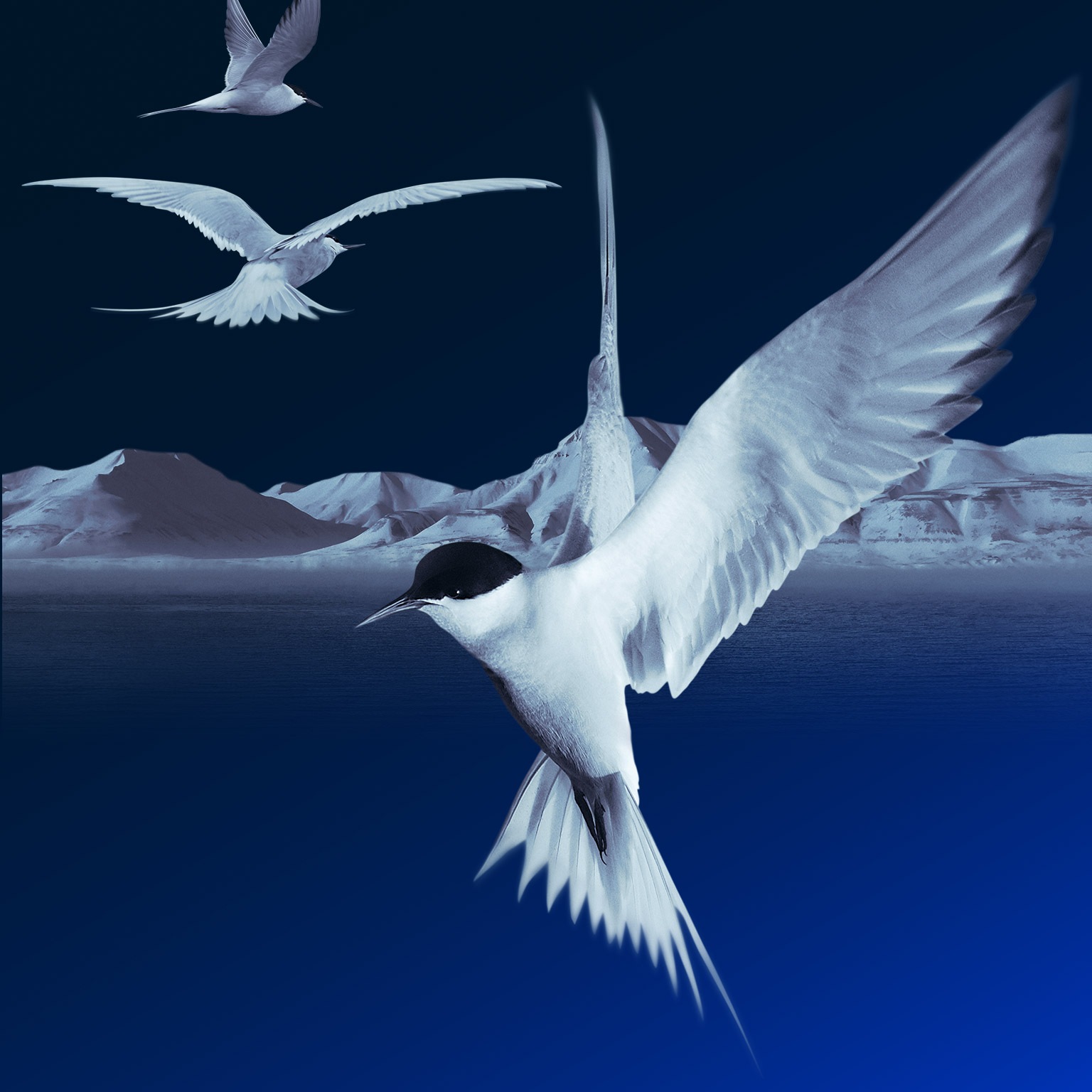 McKinsey Quarterly Pocket Edition 2020 Issue 1