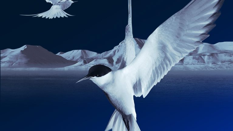 McKinsey Quarterly Pocket Edition 2020 Issue 1