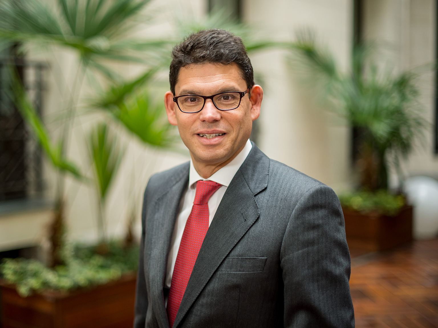 Tomás Calleja Mediano